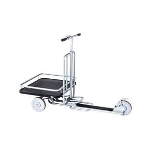 Bild för kategori Cyklar & Kärror