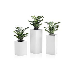 Bild för kategori Konstväxter