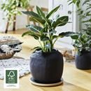 Blomvagn MDF Wagner, lastkapacitet 100 kg, LxB 295 x 295 mm, svart, 2-pack