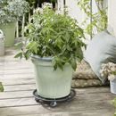 Blomvagn Stål Svart Wagner, lastkapacitet 60 kg, rund, Ø 300 mm, svart