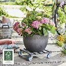 Blomvagn Vintage Wagner, lastkapacitet 150 kg, LxB 400 x 400 mm, gröngrå