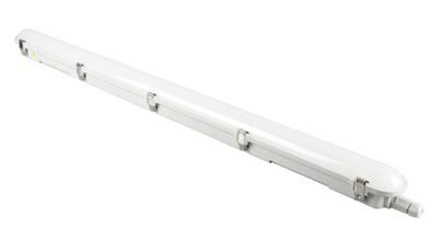 LED-lysrörsarmatur IP65 Dilan, med två lysrör, LxBxH 610 x 82 x 75 mm, 6500 K