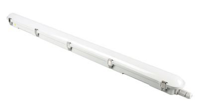 LED-lysrörsarmatur IP65 Dilan, med ett lysrör, LxBxH 1510 x 82 x 75 mm, 6500 K
