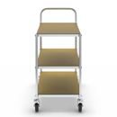 Hyllvagn Telma ESD, 4 länkhjul, 3 hyllor, LxBxH 850 x 435 x 950 mm, 2 med broms