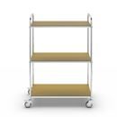 Hyllvagn Telma ESD, 4 länkhjul, 3 hyllor, LxBxH 980 x 585 x 1445 mm, 2 med broms