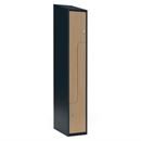 Z-skåp Fydor SMZ, 300x550x1900 mm, 2 dörrar i 1 skåp, sluttande tak, ant/ek